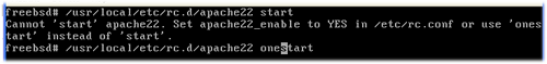 FreeBSD : Menjalankan aplikasi di FreeBSD kita tentu ingin menjalankan aplikasi tersebut bukan FreeBSD : Menjalankan aplikasi di FreeBSD