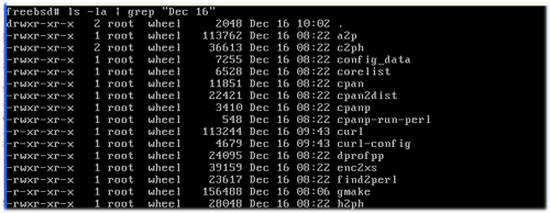 FreeBSD : Menjalankan aplikasi di FreeBSD kita tentu ingin menjalankan aplikasi tersebut bukan FreeBSD : Menjalankan aplikasi di FreeBSD